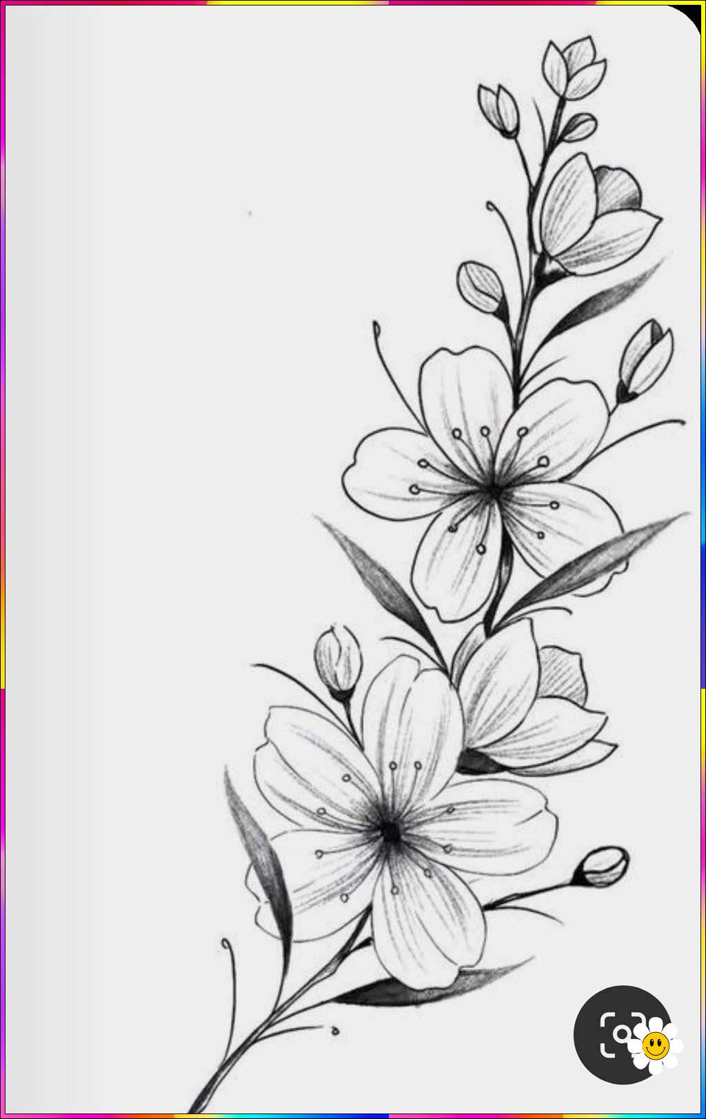 easy flower drawings
