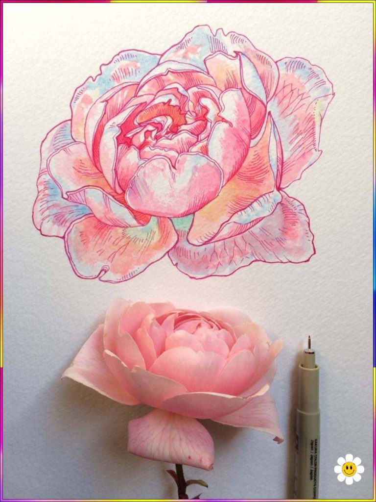 flower drawing ideas
