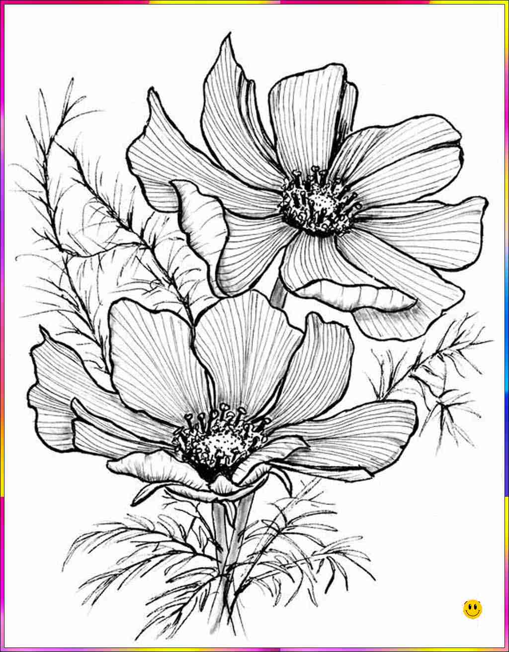 flower drawings
