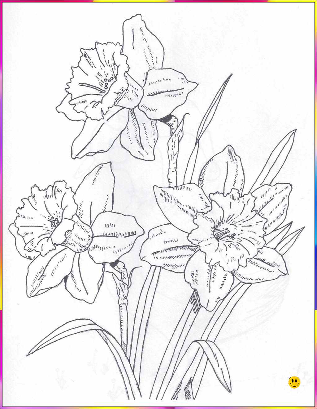 pretty flower drawing
