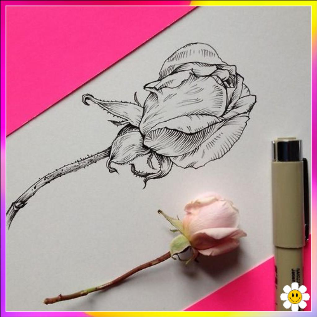 real flower to draw
