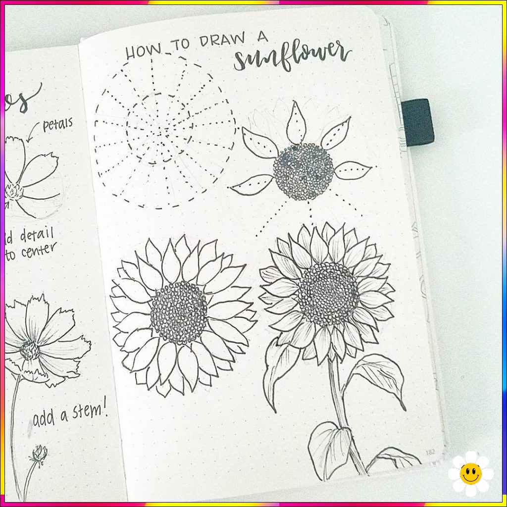 flower drawing step by step guide image
