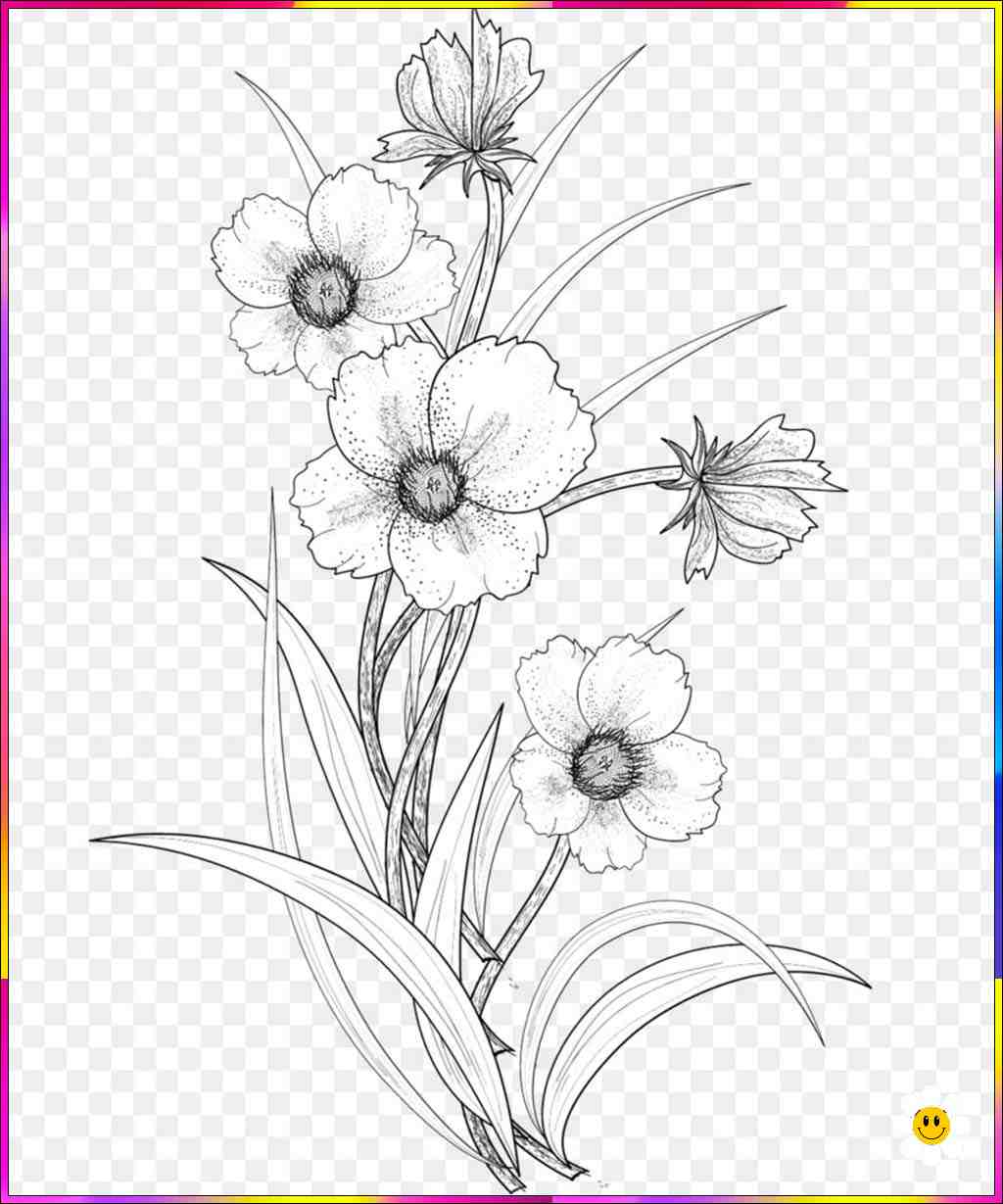 easy flower drawing
