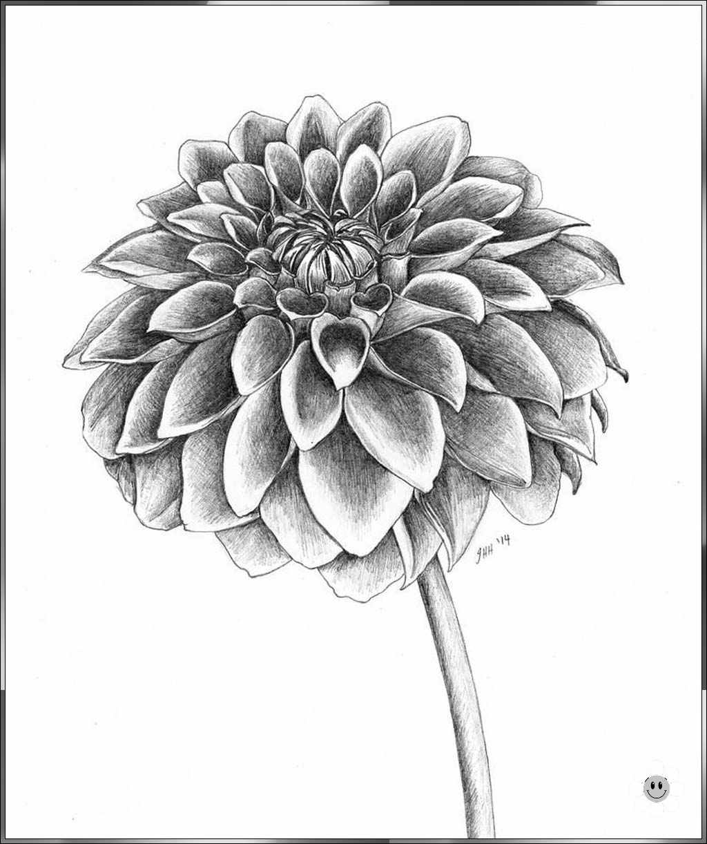 easy flower drawing
