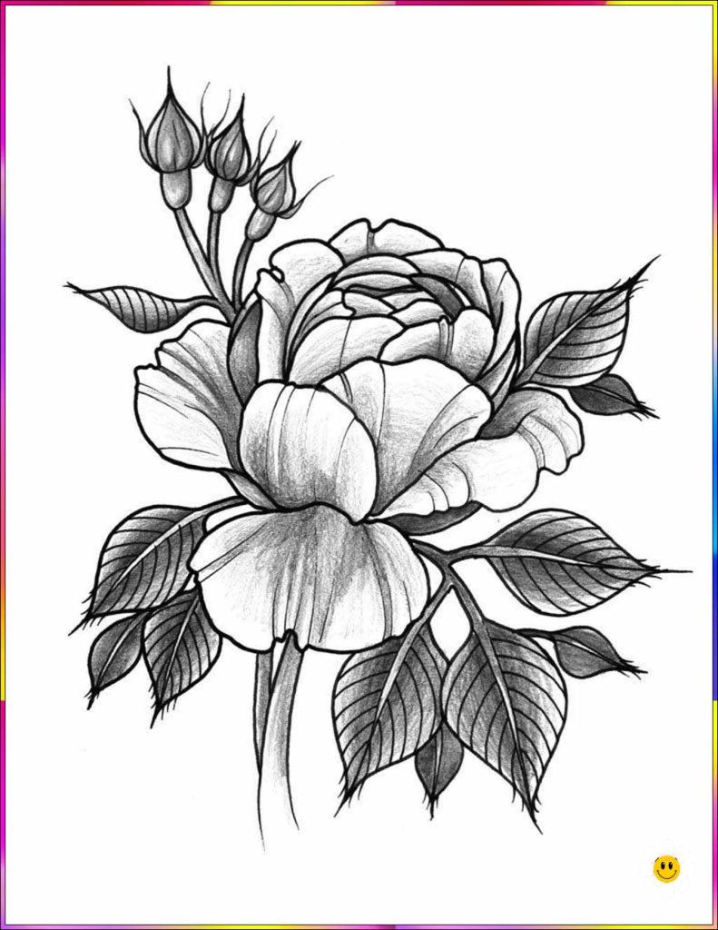 flower drawing easy
