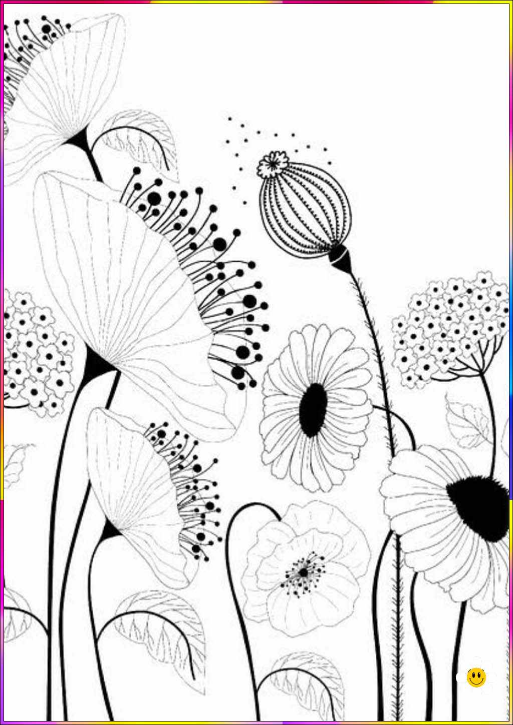 flower pics to draw
