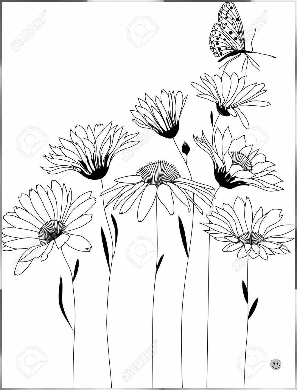 flower drawing wallpaper
