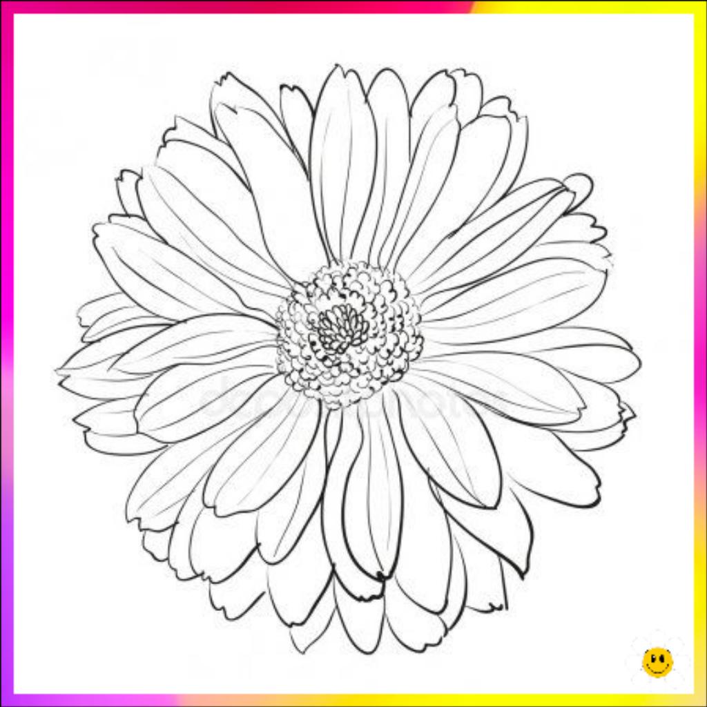 pic of a flower drawing
