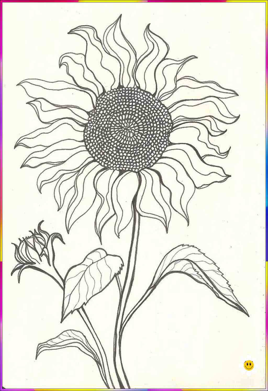 a flower drawing
