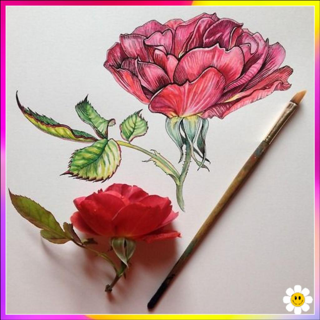 beautiful flower drawings
