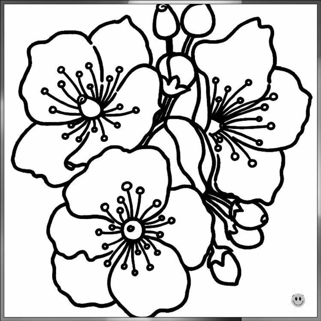 flower drawing easy and beautiful
