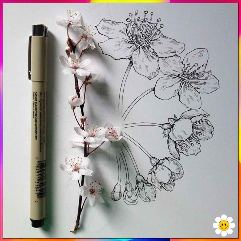 easy pencil flower drawings
