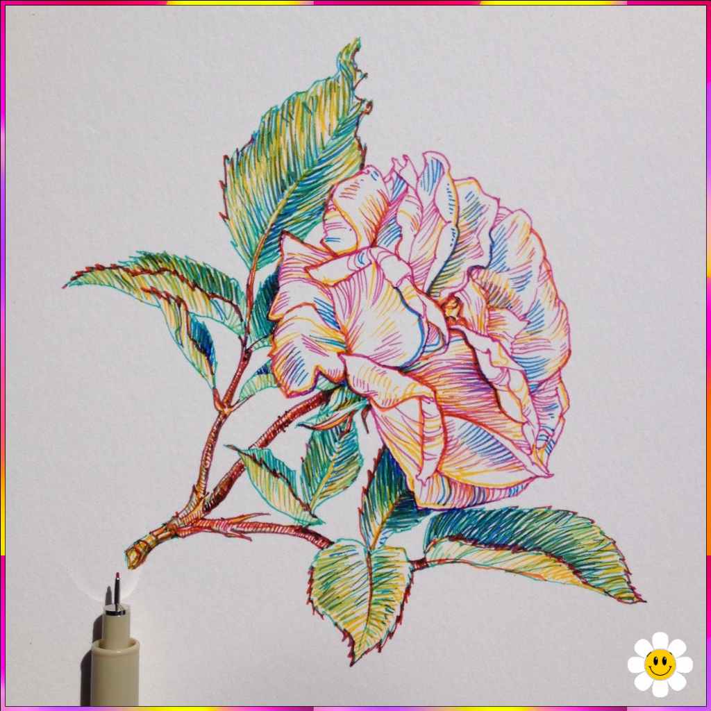 flower sketch drawing
