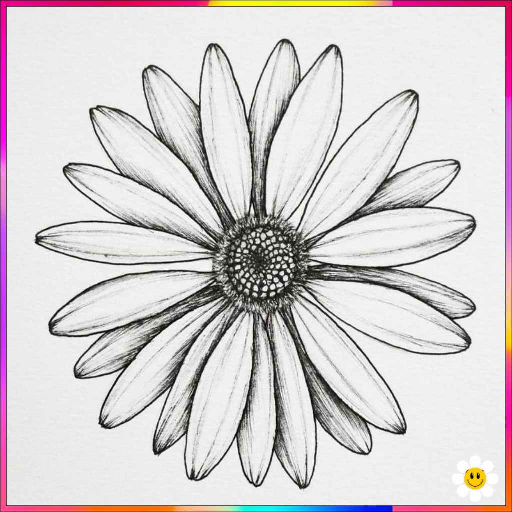 simple flower drawings
