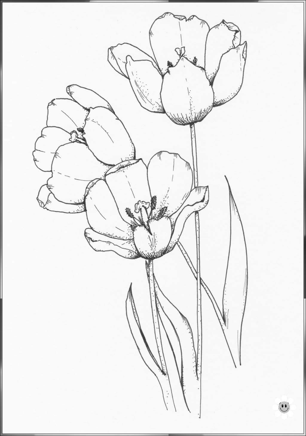 small flower drawings
