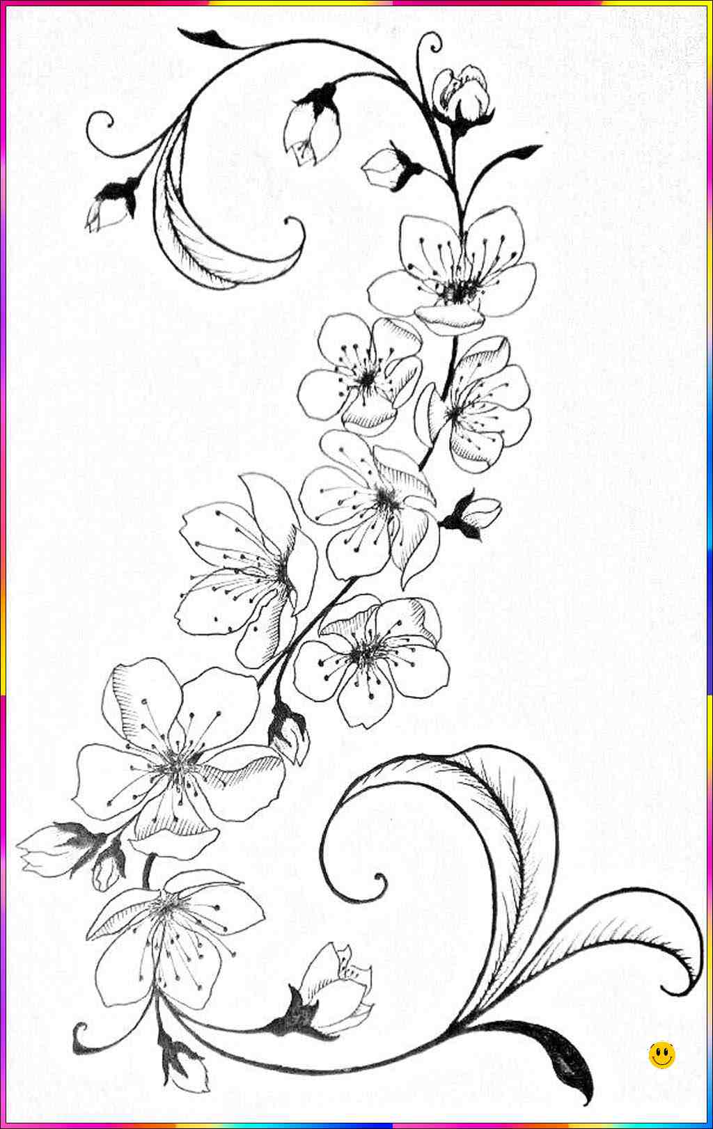 small flower drawing
