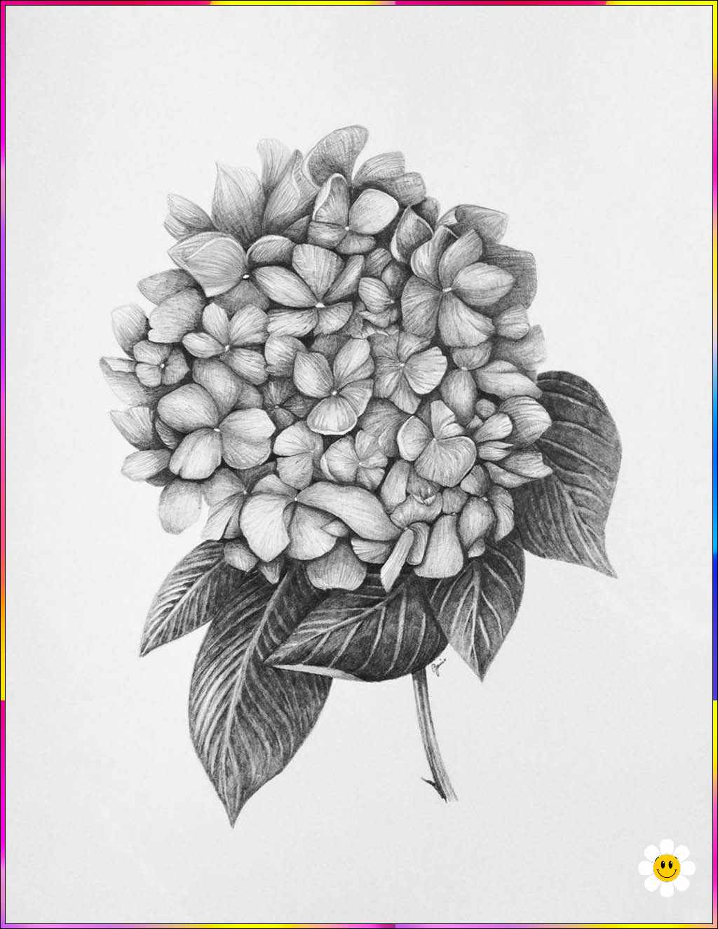 flower drawing hard sketch