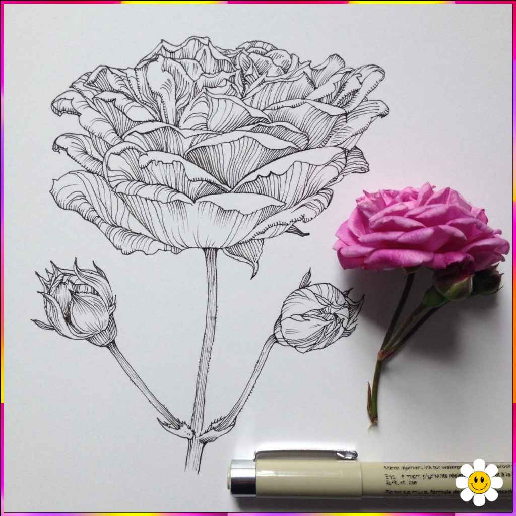 draw a cute flower
