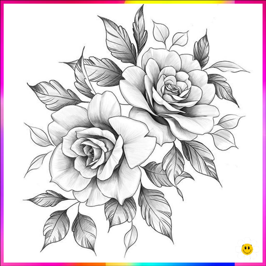 beginner easy flower drawings in pencil
