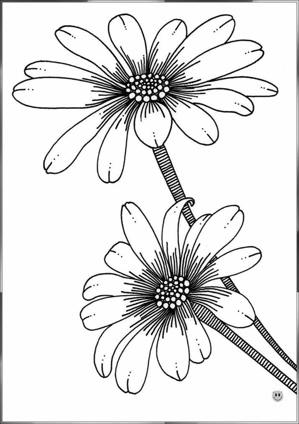 pretty flower drawings
