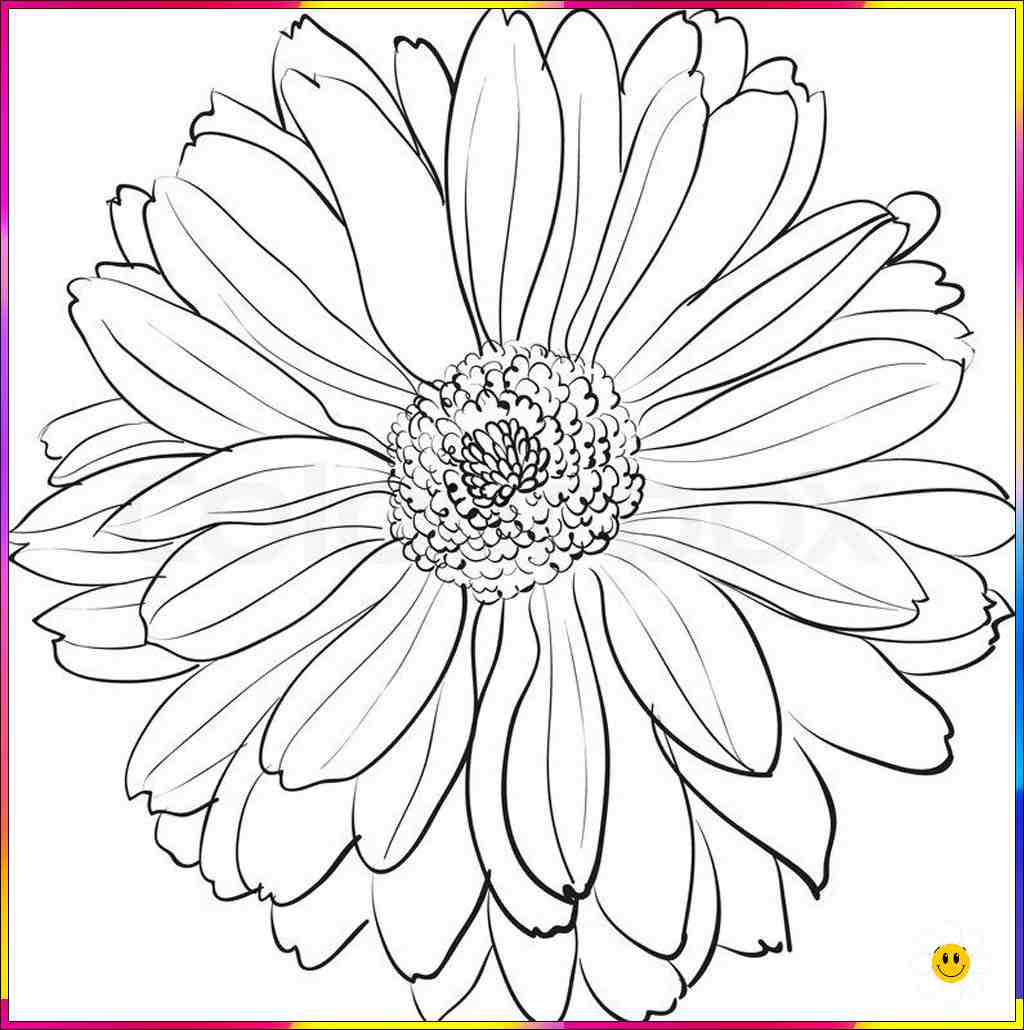 flower art drawing
