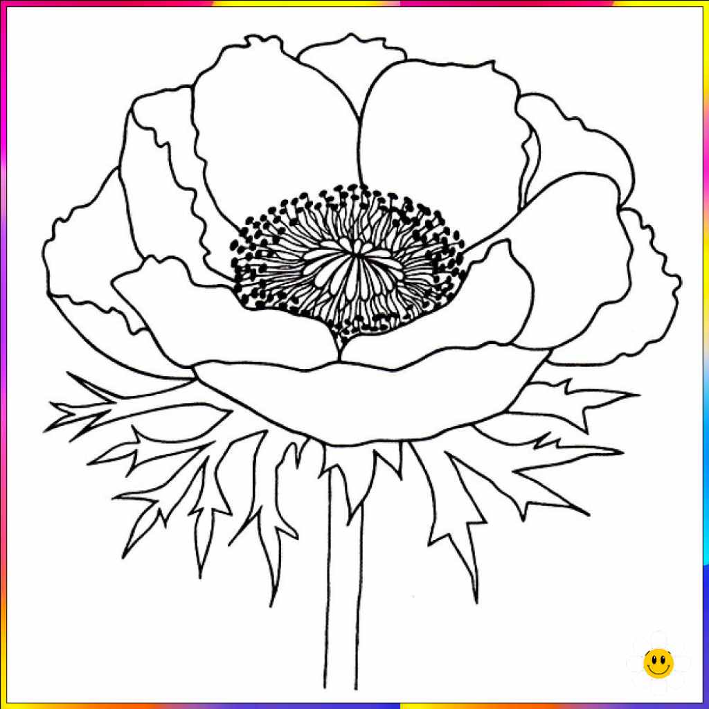 flower drawing image