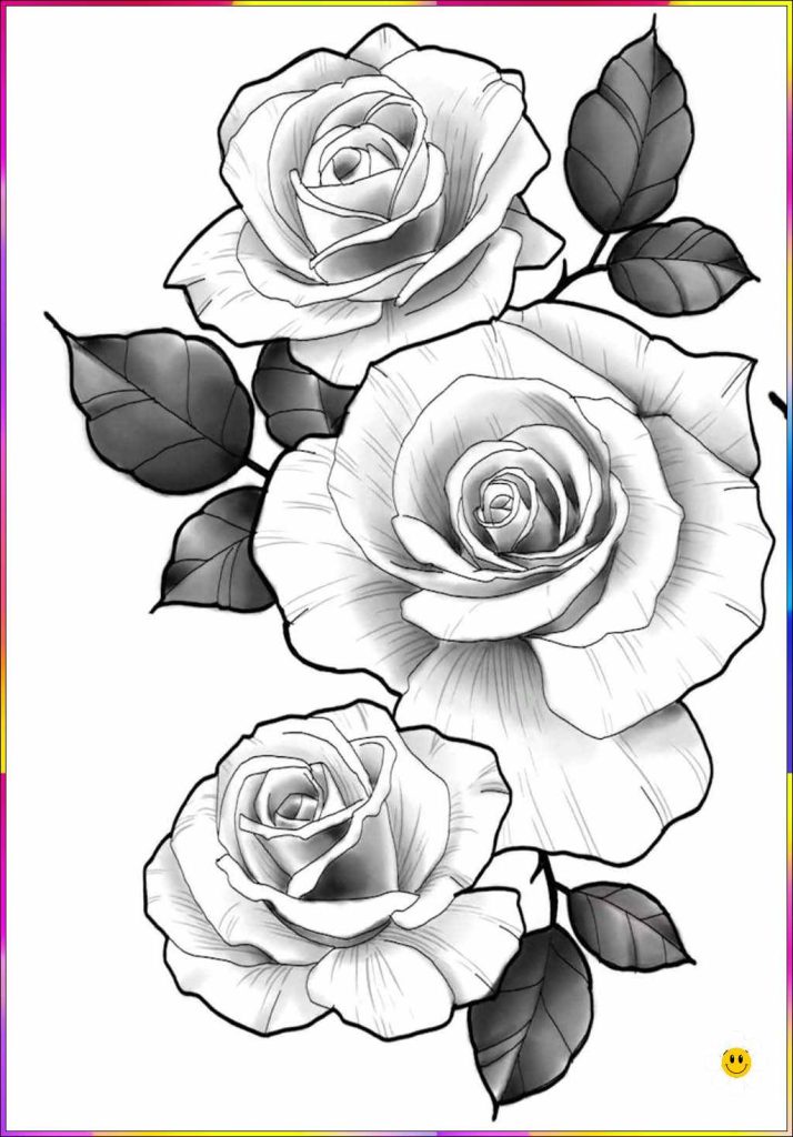 simple flower drawings
