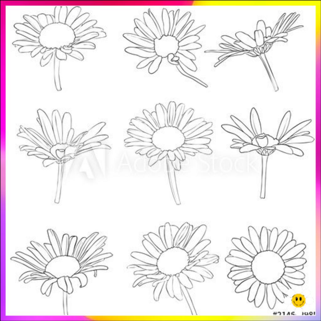 flower pictures drawing
