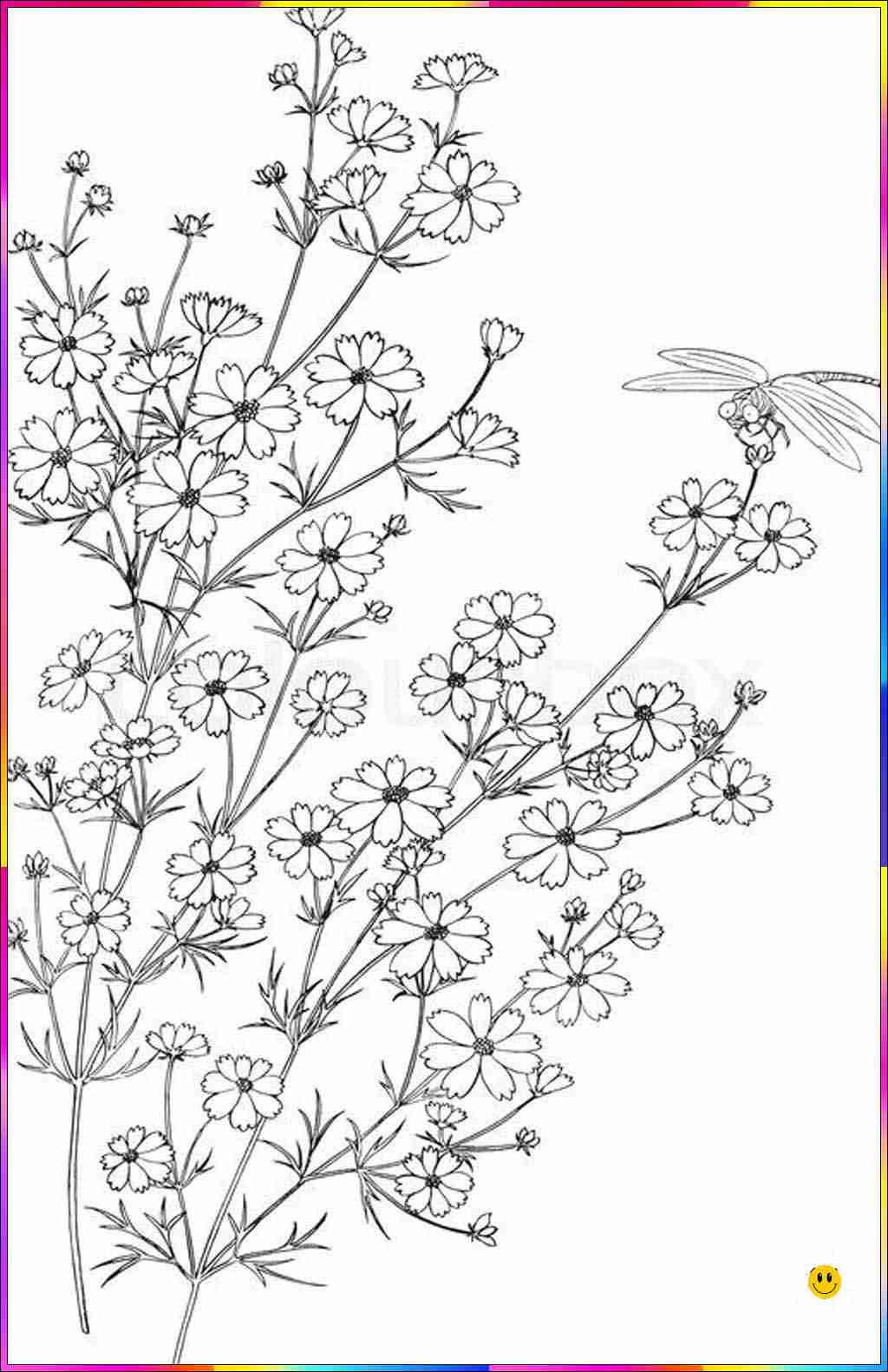 flowers easy drawing
