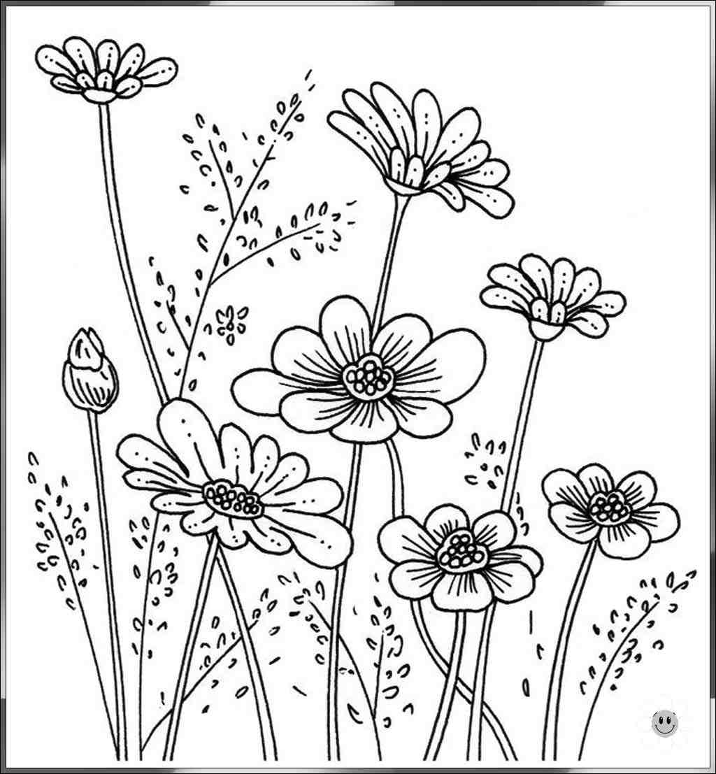 simple flower drawing
