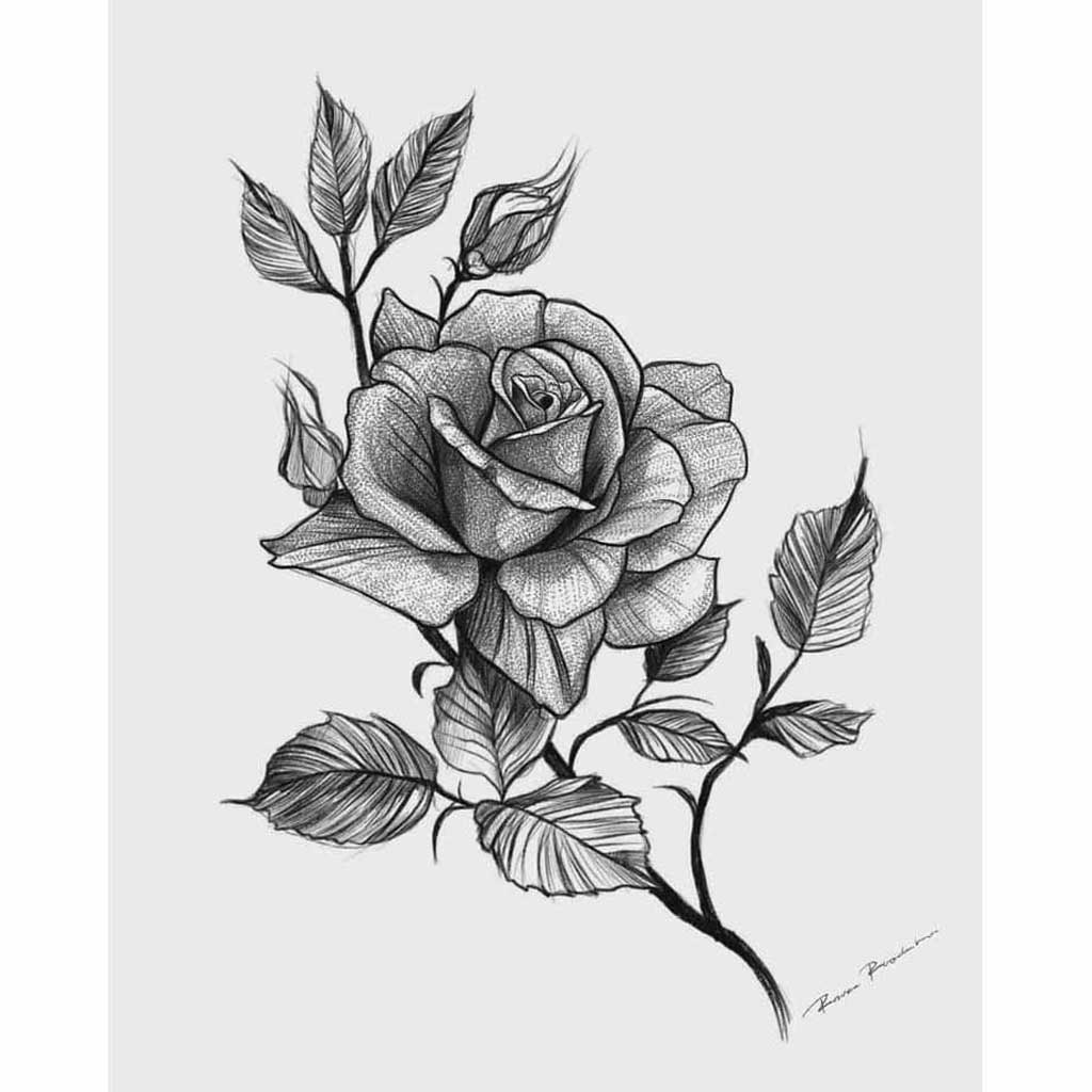 simple black and white flower drawing
