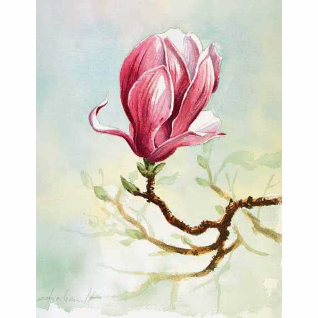 magnolia drawing vector