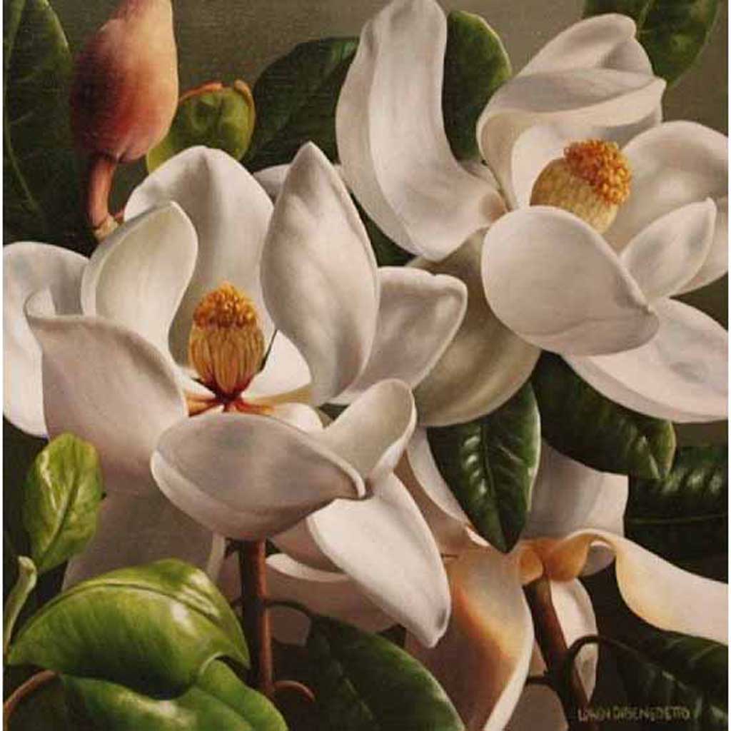 magnolia color drawing