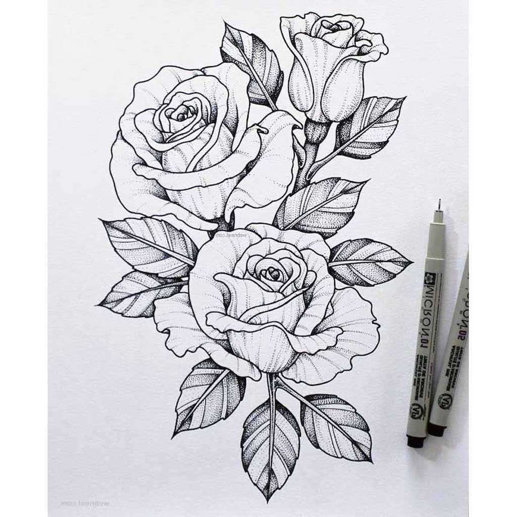 black and white flower drawing images
