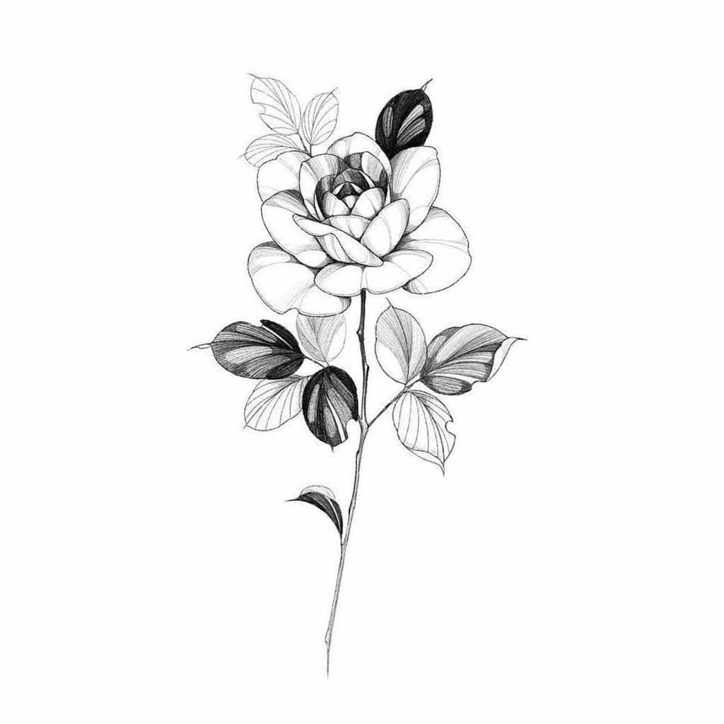simple black and white flower drawings
