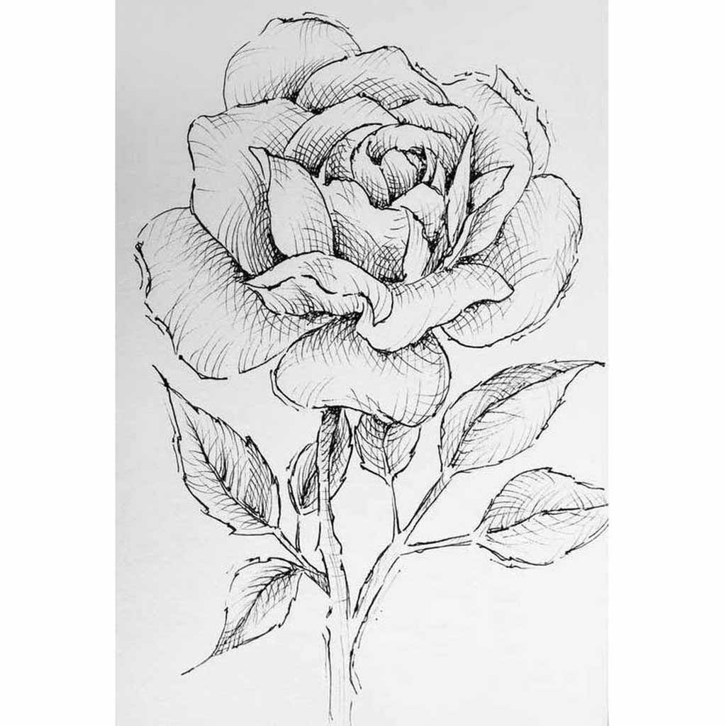 black and white flower drawings
