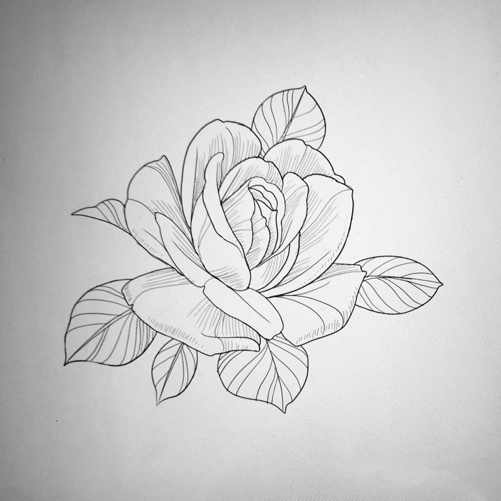 black and white flower drawing simple single flower

