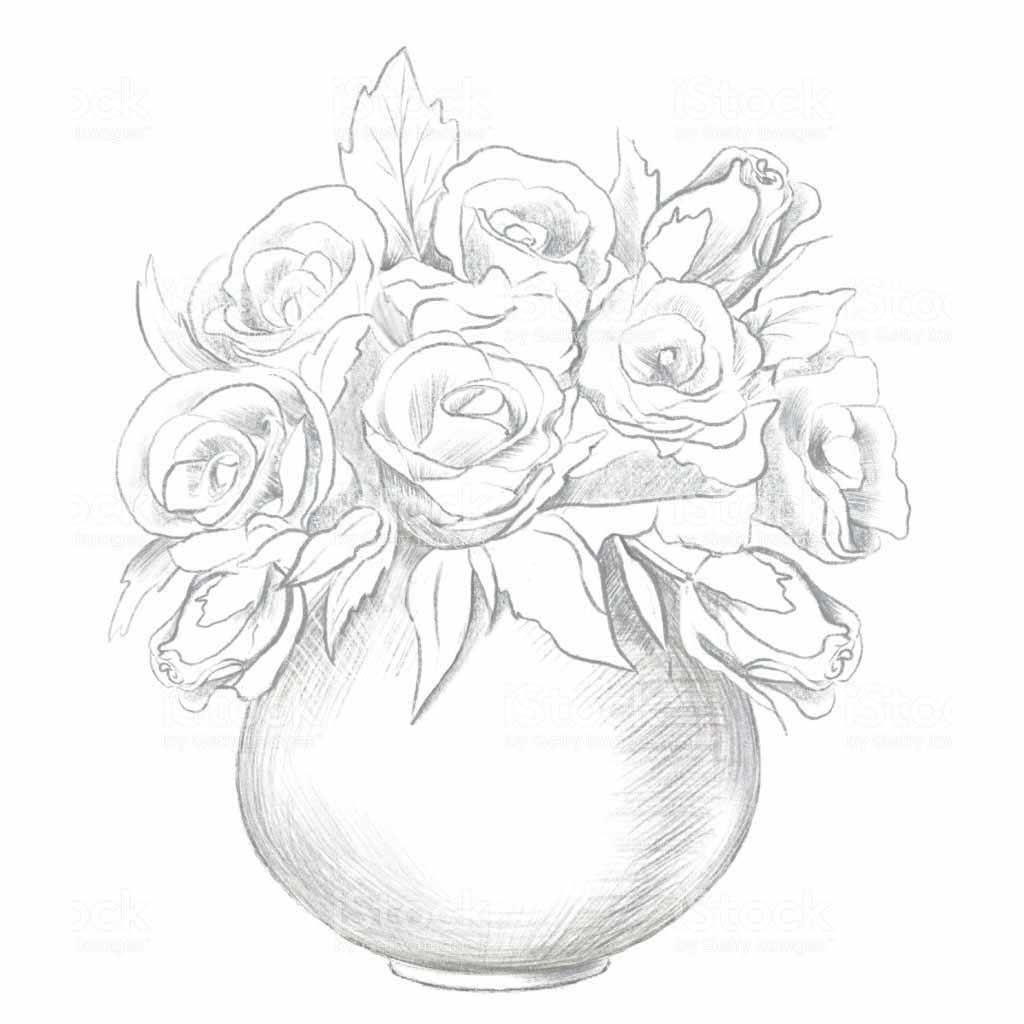 flower in a pot drawing