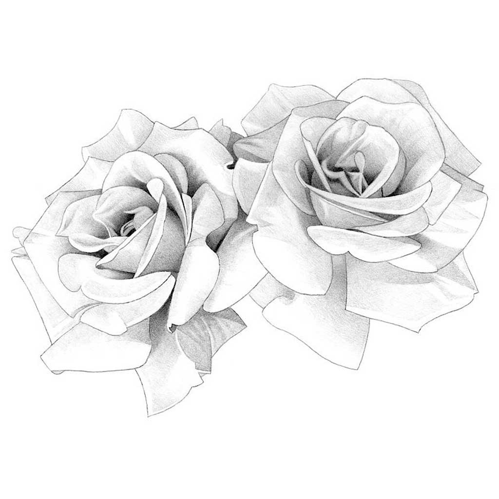 beautiful flower drawing black and white
