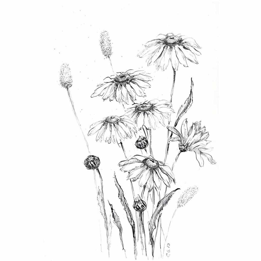 black and white flower aesthetic drawings
