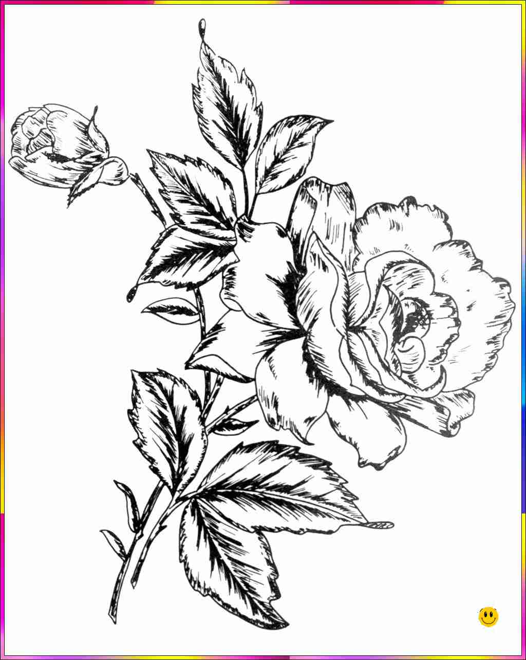 flower drawing image