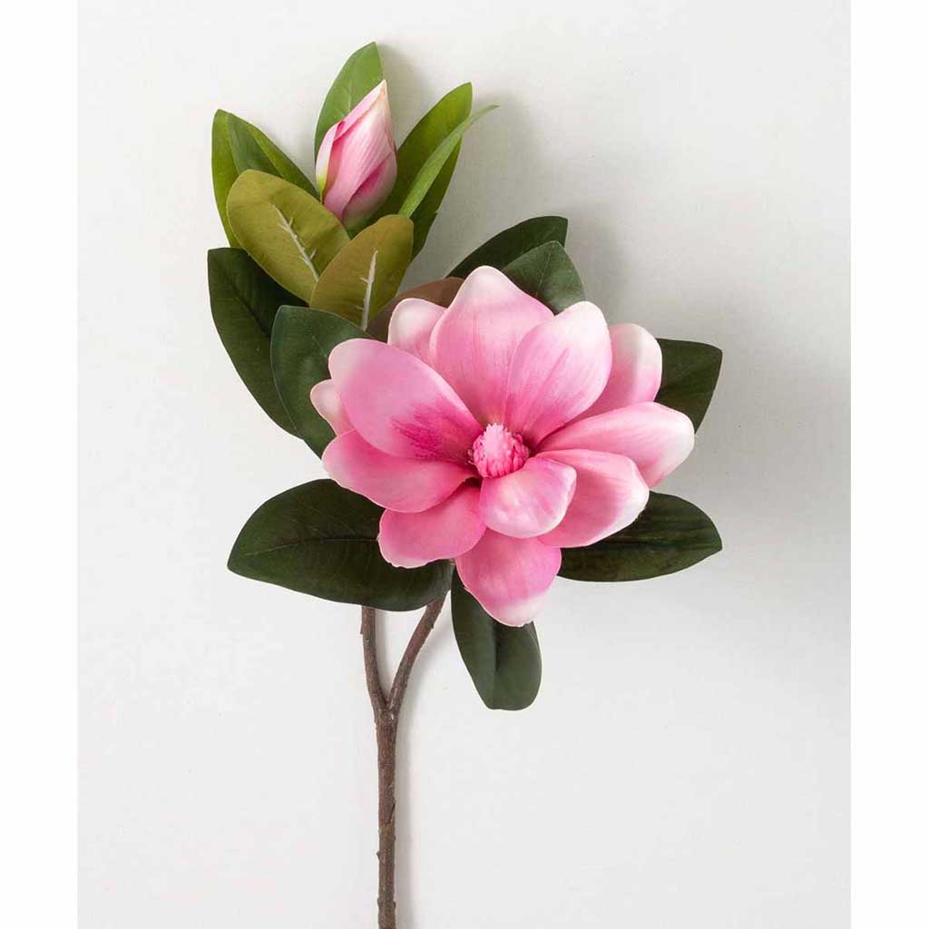magnolia flower drawing clip art