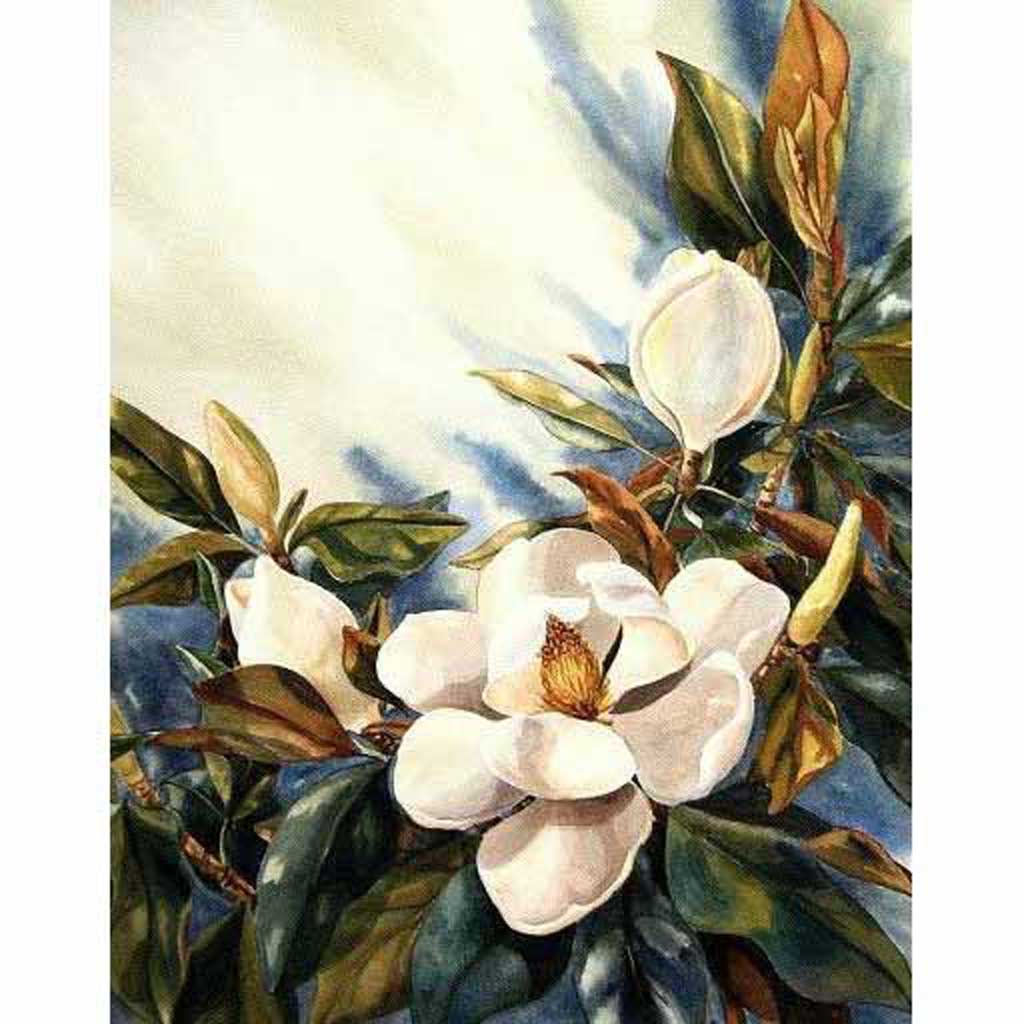 magnolia drawing tutorial