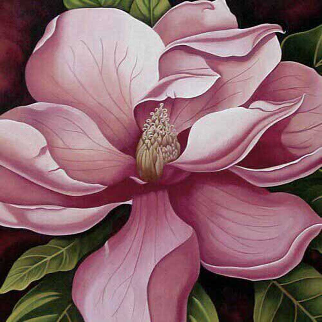drawing of magnolia