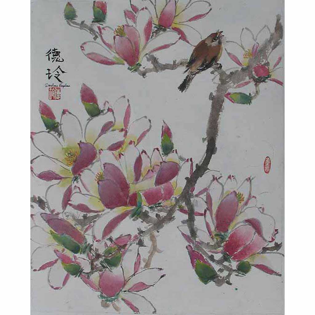 magnolia botanical drawing
