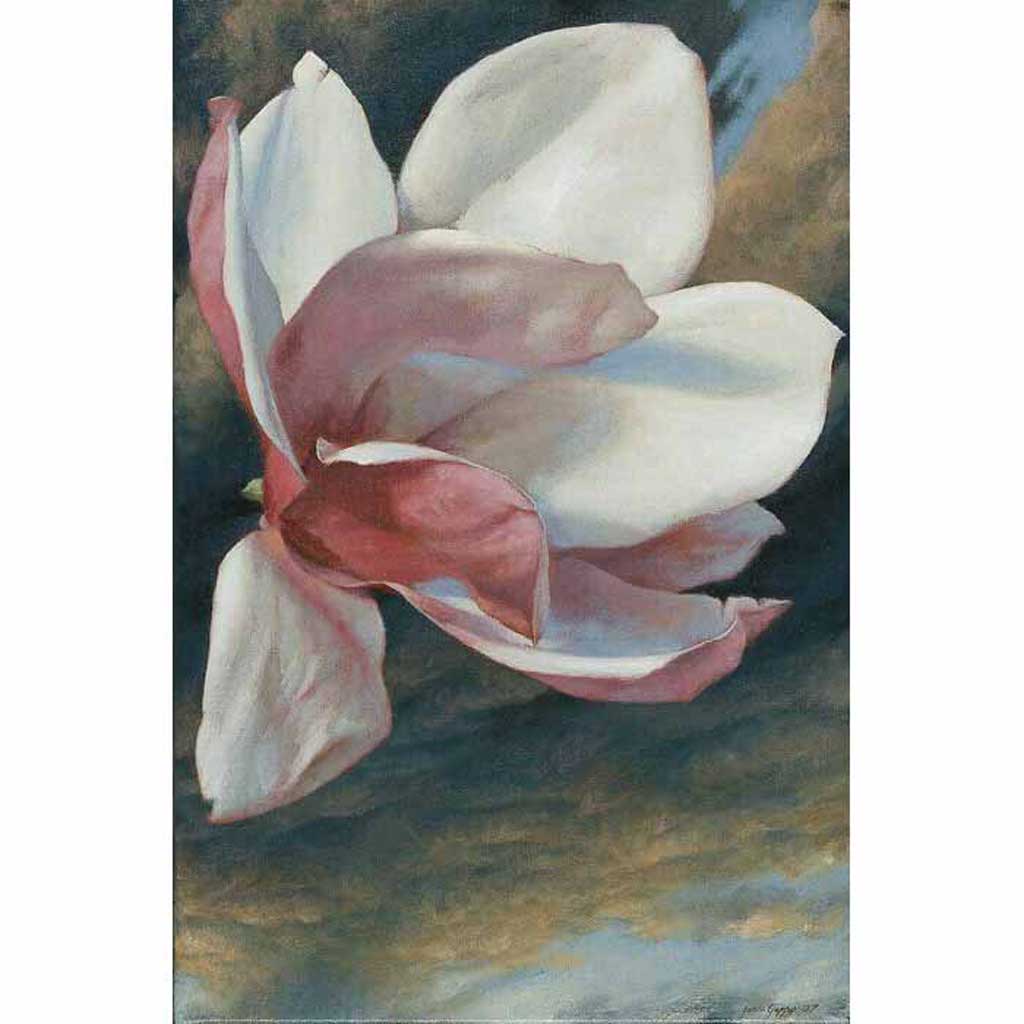 southern magnolia drawing