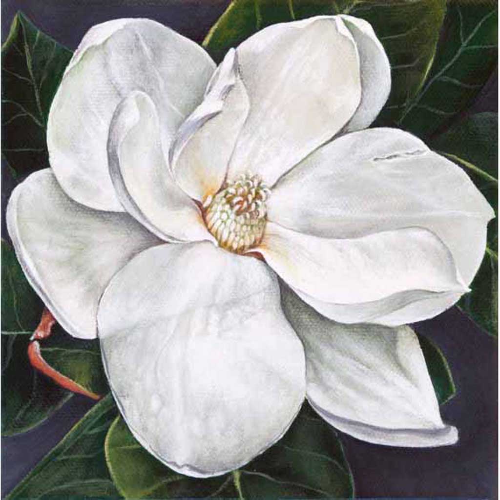 easy magnolia drawing