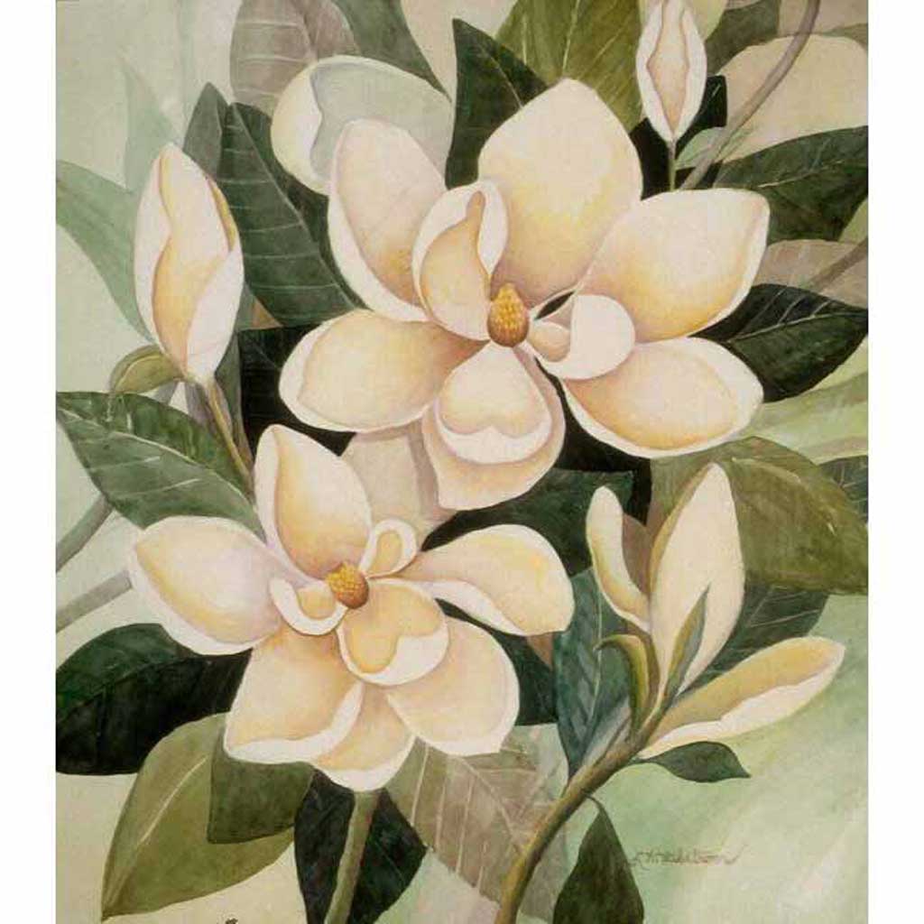 simple magnolia drawing