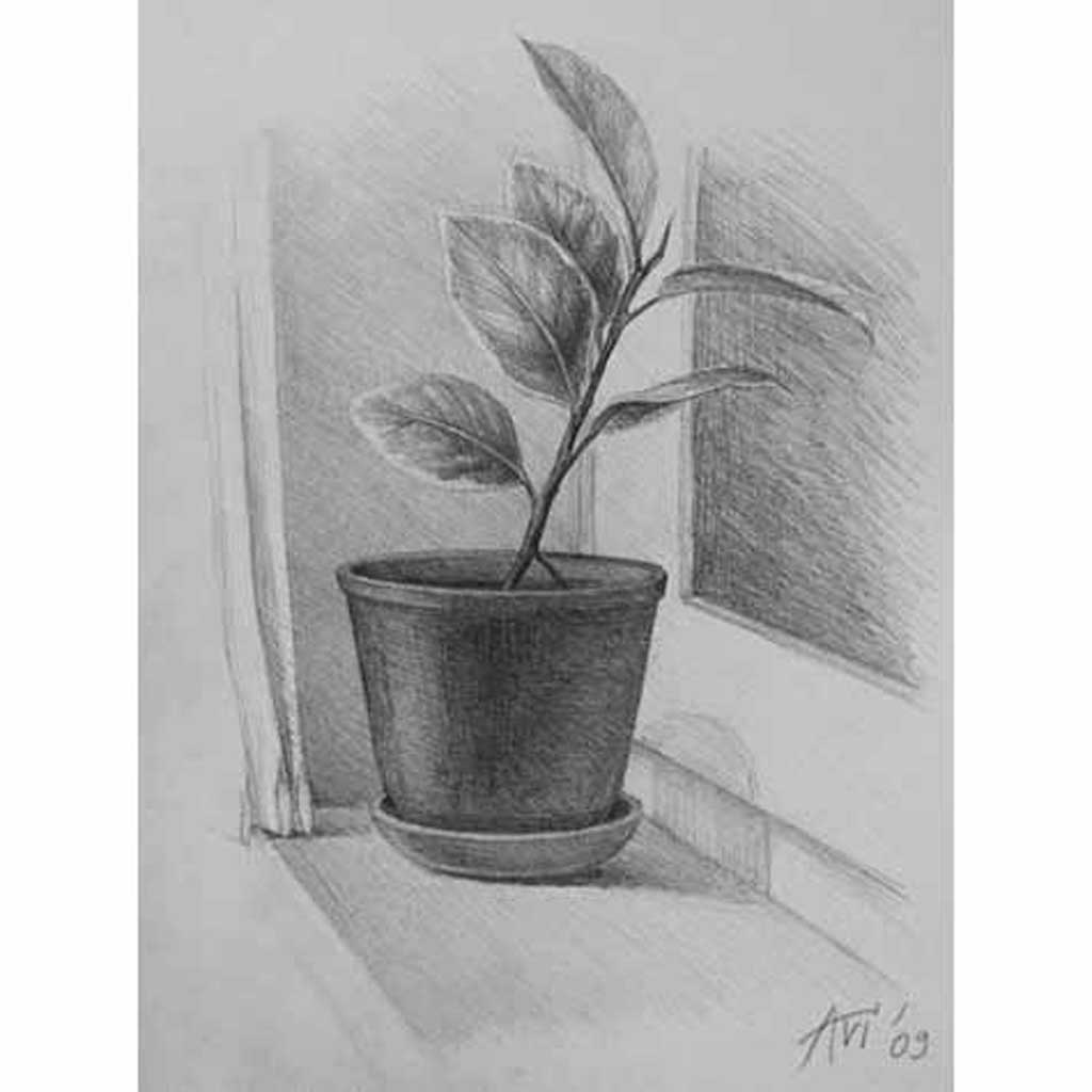 flower pot images for drawing