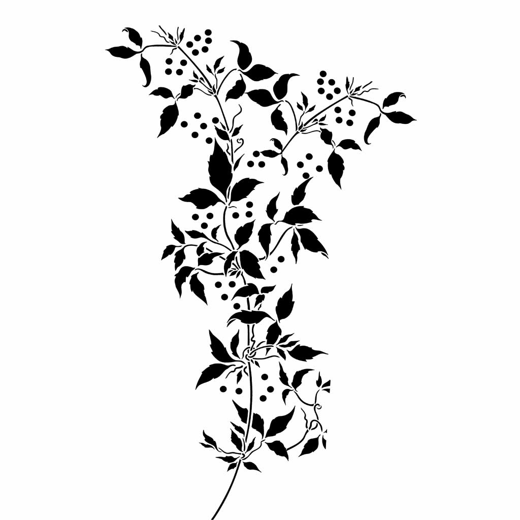 vine  flower drawing black and white
